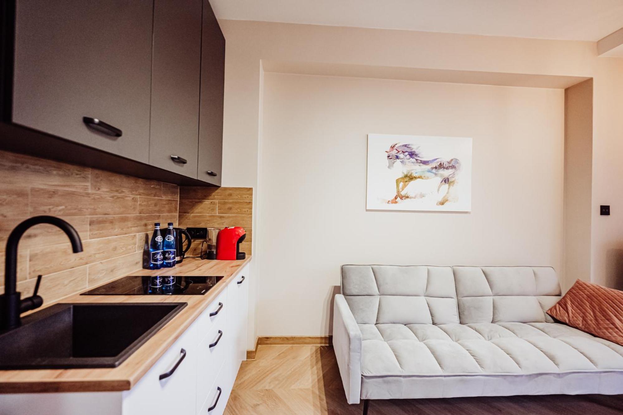 Apartamenty Przygoda W Karpaczu 외부 사진